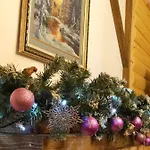 Guest house Karpatska Mria