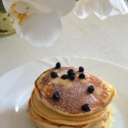 Karpatska Mria Guest house 3*