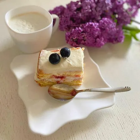 Guest house Karpatska Mria