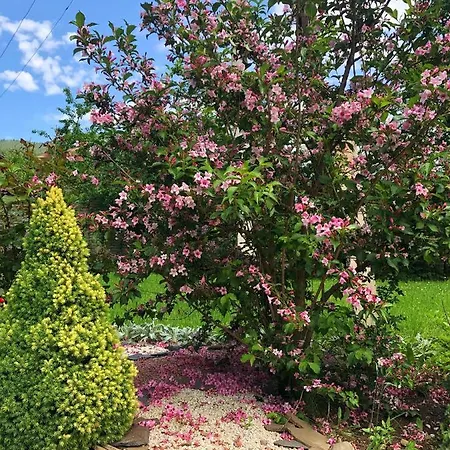 Karpatska Mria 3* Yaremche