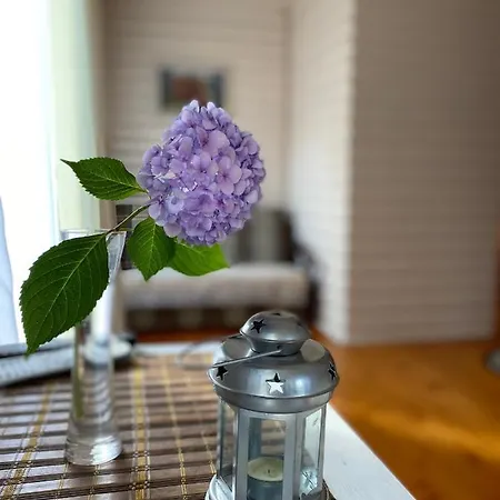 Karpatska Mria Pensjonat Jaremcze